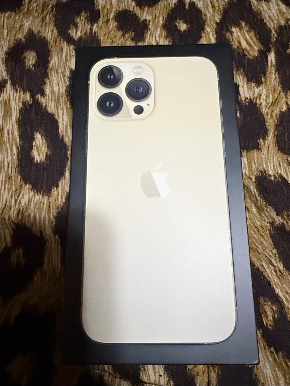 Apple iPhone 13 Pro Max phone box EMPTY